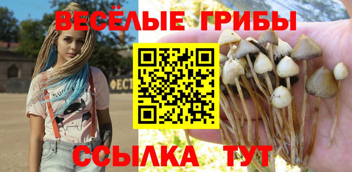 Когалым  Галлюциногенные грибы MAGIC MUSHROOMS  Галлюциногенные грибы Cubensis  Вход с VPN 